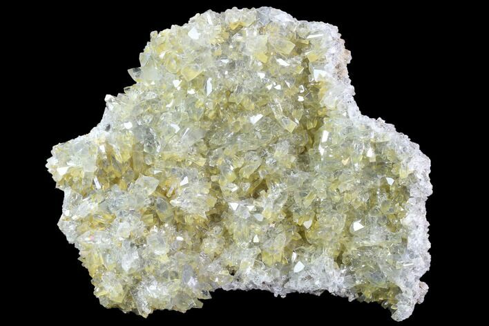 Plate Of Gemmy, Chisel Tipped Barite Crystals - Mexico #84425